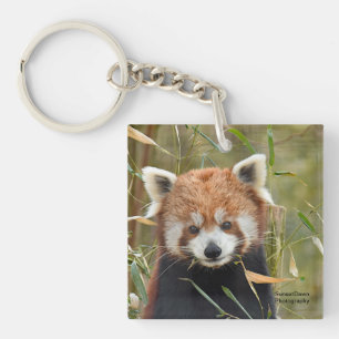 Red Panda Keychain