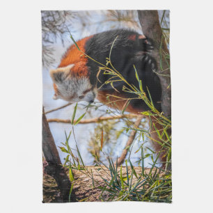 Red panda kitchen towel