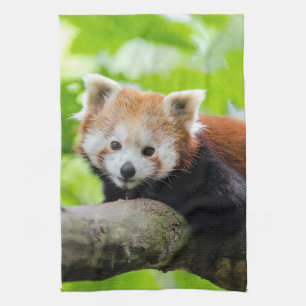 Red Panda Kitchen Towel