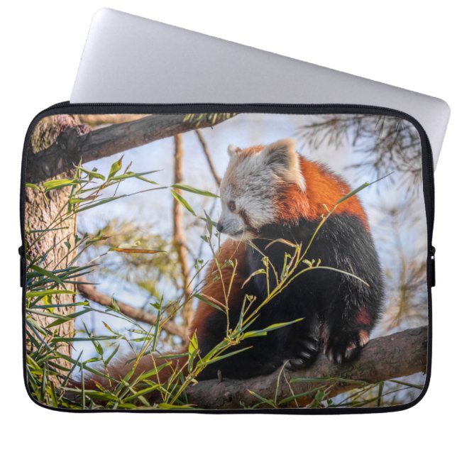 Red panda laptop sleeve (Front)