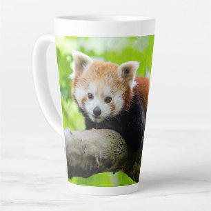 Red Panda Latte Mug
