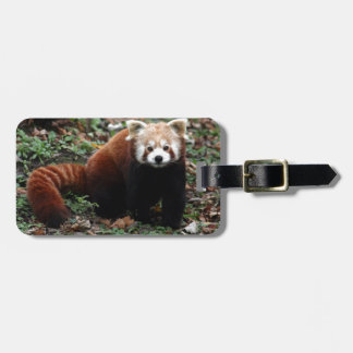 Red Panda Luggage Tag
