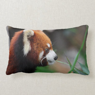 Red panda lumbar pillow