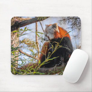 Red panda mouse pad