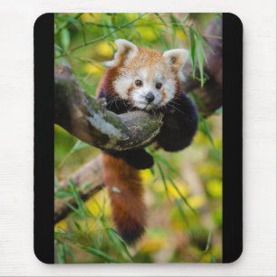 Red Panda Mouse Pad