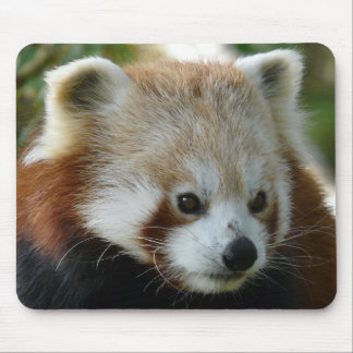 Red Panda Mouse Pad