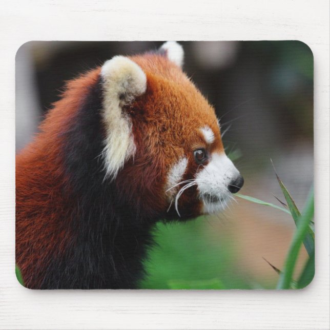 Red panda mouse pad (Front)