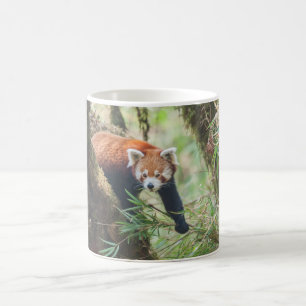 Red Panda Mug