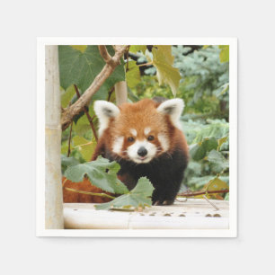 Red Panda Napkin