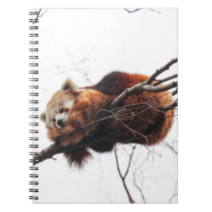 Red Panda Notebook