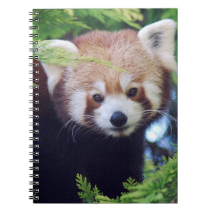 Red Panda Notebook