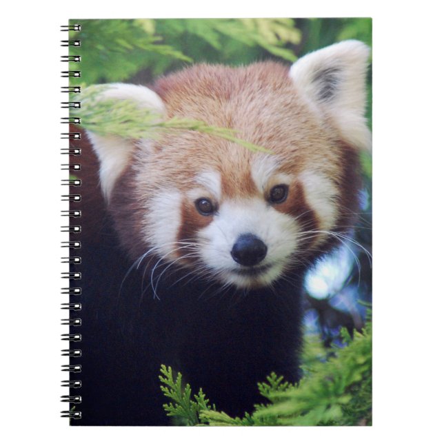 Red Panda Notebook (Front)