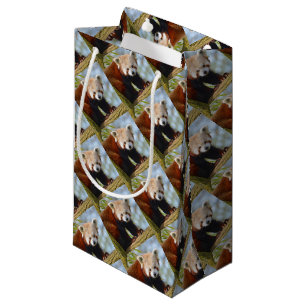 Red panda on branch small gift bag