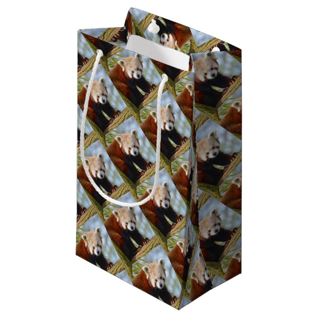 Red panda on branch small gift bag (Front Angled)