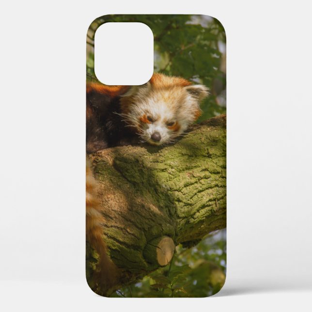 RED PANDA ON GREEN TREE BRANCH Case-Mate iPhone CASE (Back)