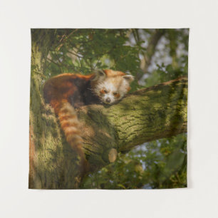 RED PANDA ON GREEN TREE BRANCH TAPESTRY