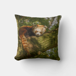 RED PANDA ON GREEN TREE BRANCH THROW PILLOW