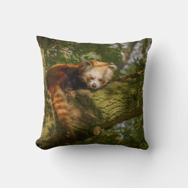 RED PANDA ON GREEN TREE BRANCH THROW PILLOW (Front)