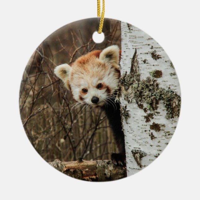 Red Panda Ornament (Front)