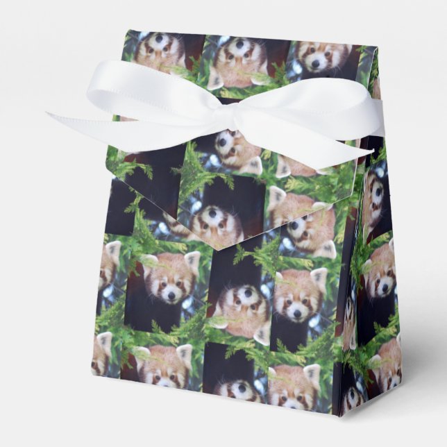 Red Panda Pattern Favor Box (Front Side)
