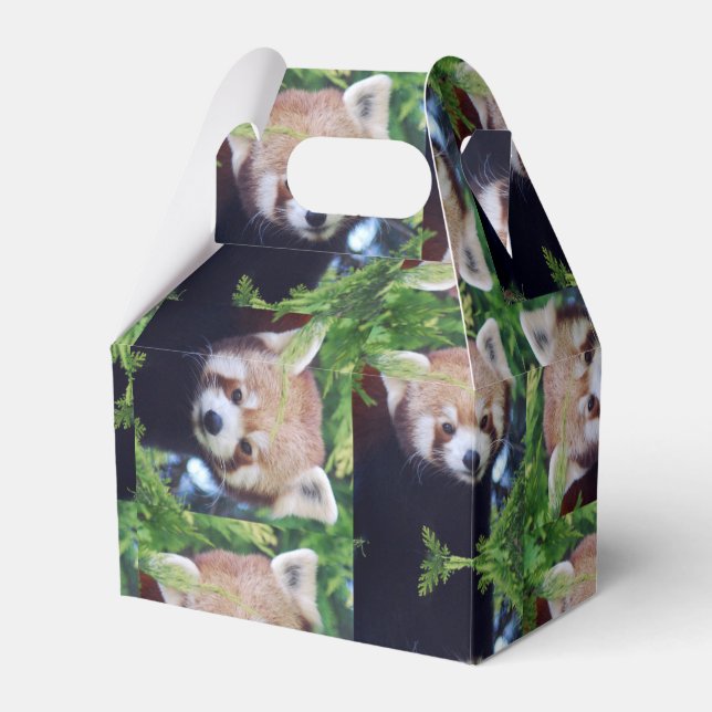 Red Panda Pattern Favor Box (Front Side)