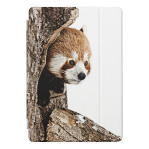 Red Panda Peek-a-Boo iPad Pro Cover