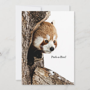 Red panda peeking out from a tree, Peek-a-Boo! Card