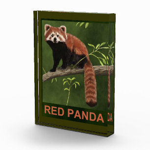 Red Panda Photo Block