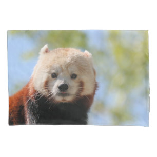 Red Panda Pillowcase