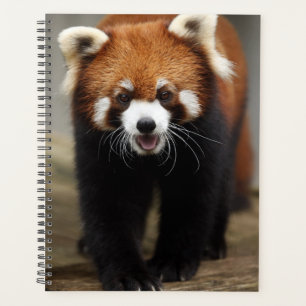 Red Panda Planner