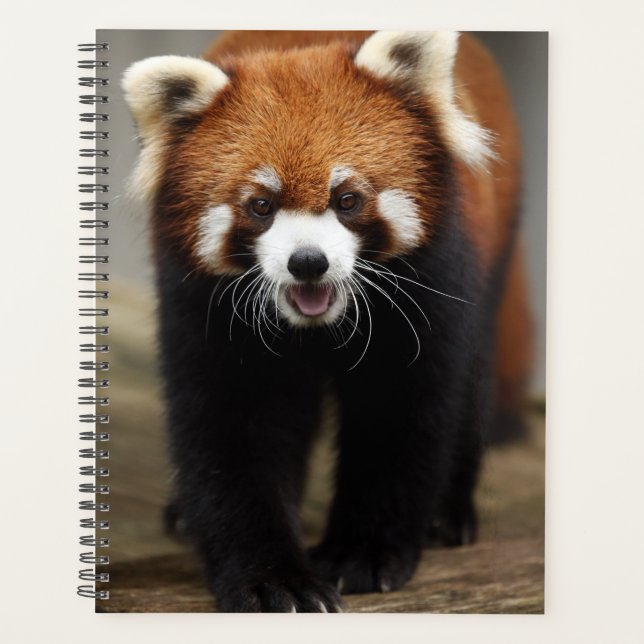 Red Panda Planner (Front)