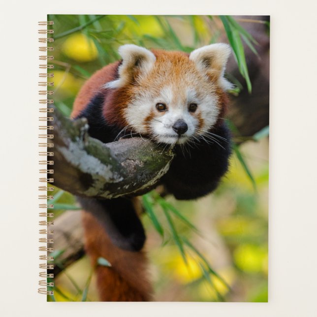 Red Panda Planner (Front)