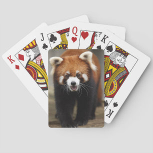 Red Panda Playing Cards