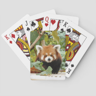 Red Panda Playing Cards