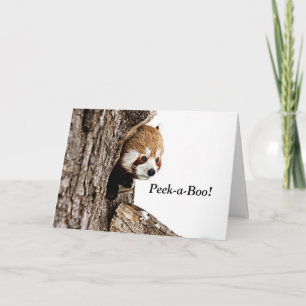 Red panda playing peek-a-boo! card