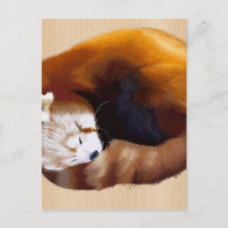red panda postcard