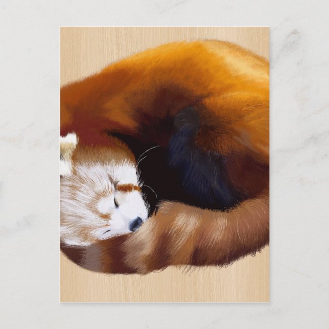 red panda postcard (Front)
