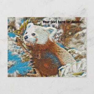 Red Panda Postcard