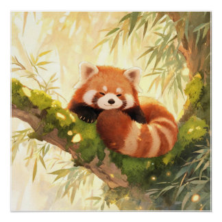Red Panda Poster