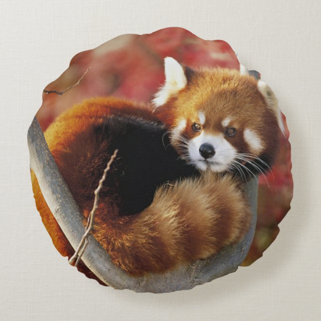 Red Panda Round Pillow (Back)
