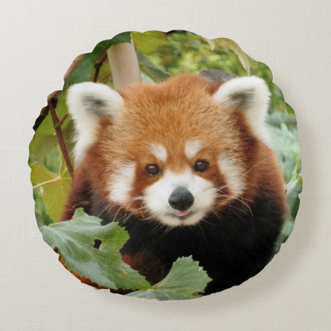 Red Panda Round Pillow (Front)
