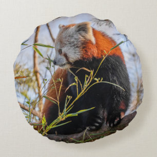 Red panda round pillow