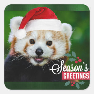 Red Panda Santa Square Sticker