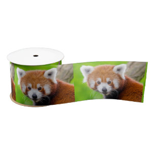 Red Panda Satin Ribbon