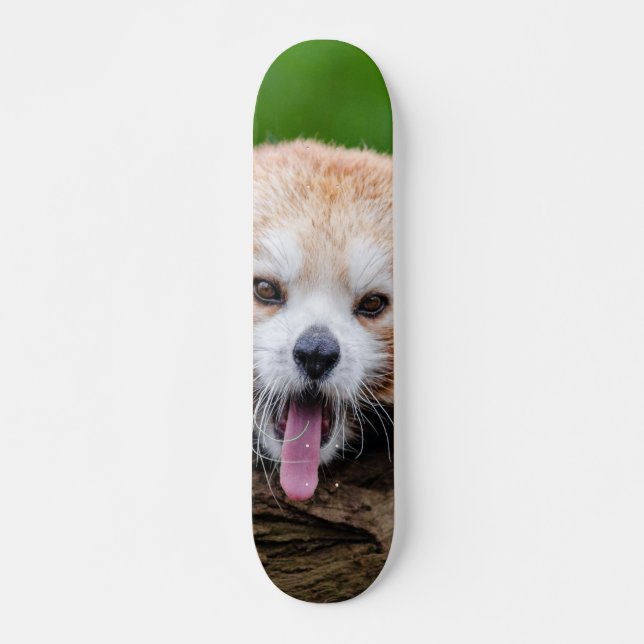 Red Panda Skateboard (Front)