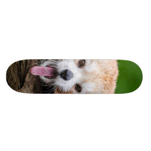 Red Panda Skateboard