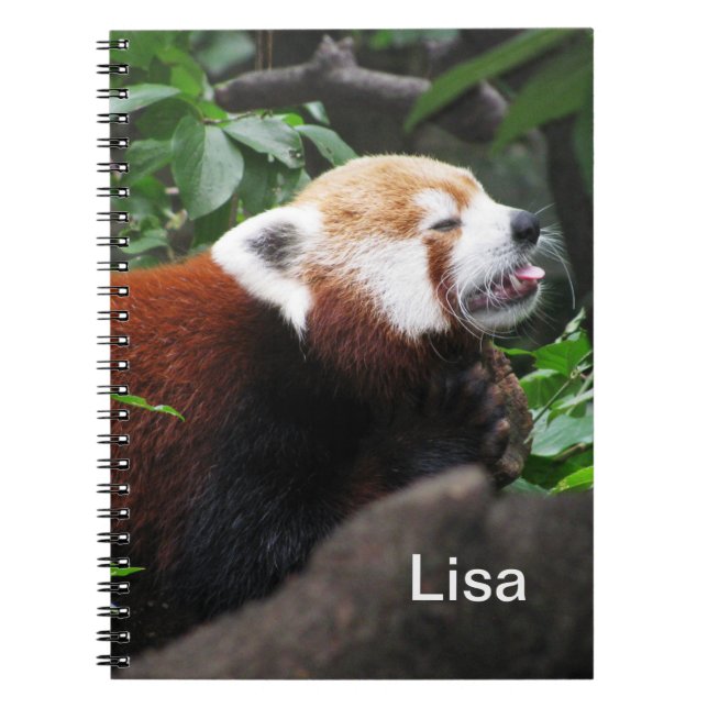 Red Panda sticking its tongue out Notebook (Front)