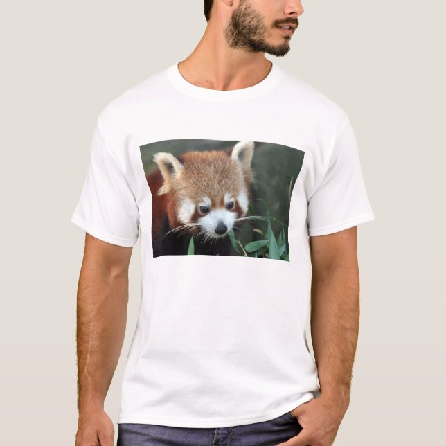 Red Panda, Taronga Zoo, Sydney, Australia T-Shirt (Front)