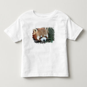 Red Panda, Taronga Zoo, Sydney, Australia Toddler T-shirt