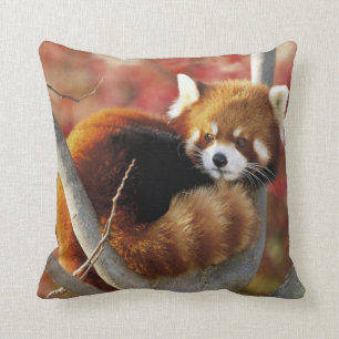 Red Panda Throw Pillow